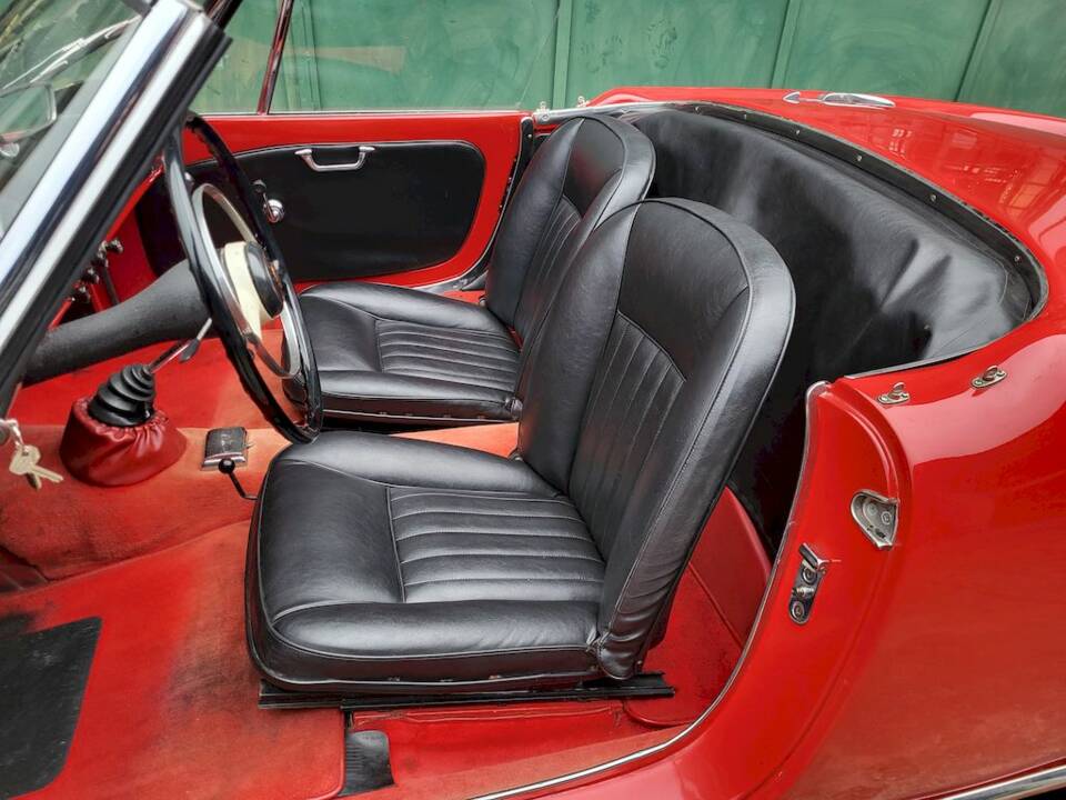 Image 20/65 of Alfa Romeo Giulietta Spider (1962)
