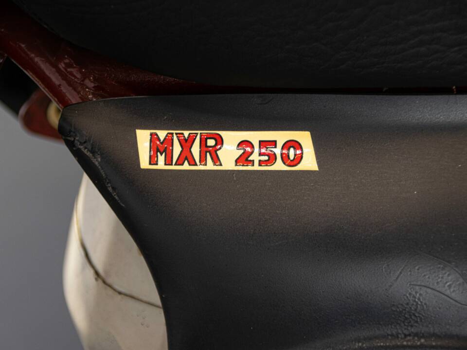 Image 32/38 of CZ 250 Moto Cross (1970)