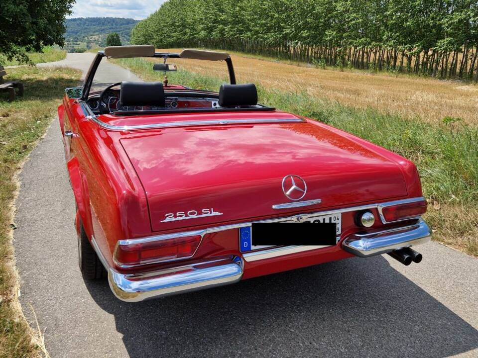 Afbeelding 11/14 van Mercedes-Benz 250 SL (1967)
