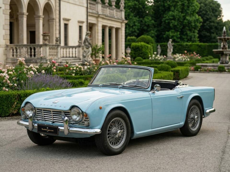 Imagen 50/50 de Triumph TR 4 (1963)