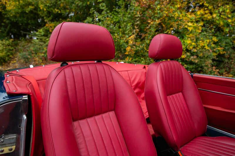 Bild 22/50 von Alfa Romeo 2600 Spider (1962)