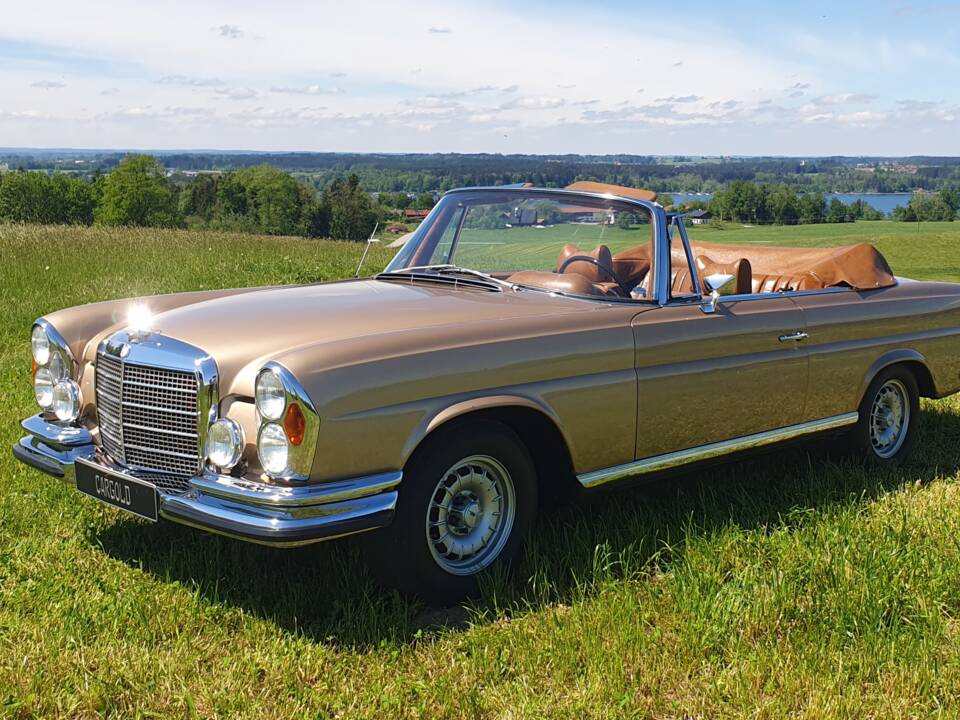 Bild 1/39 von Mercedes-Benz 280 SE 3,5 (1969)