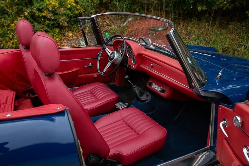 Bild 15/50 von Alfa Romeo 2600 Spider (1962)
