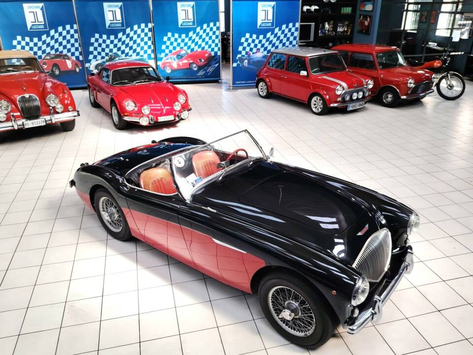 Bild 11/56 von Austin-Healey 100&#x2F;4 (BN2) (1956)