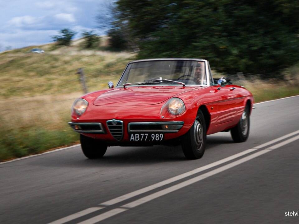 Afbeelding 33/37 van Alfa Romeo 1600 Spider Duetto (1966)