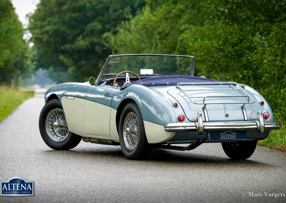 Immagine 16/44 di Austin-Healey 3000 Mk II (BN7) (1962)