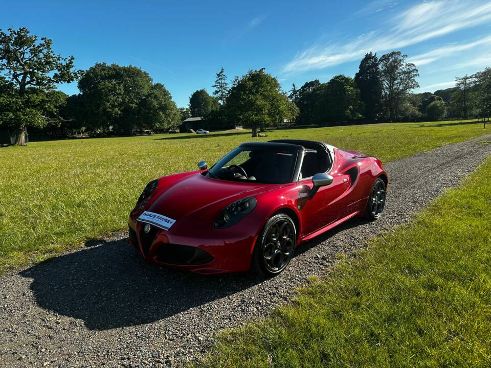 Bild 1/47 von Alfa Romeo 4C Spider (2015)