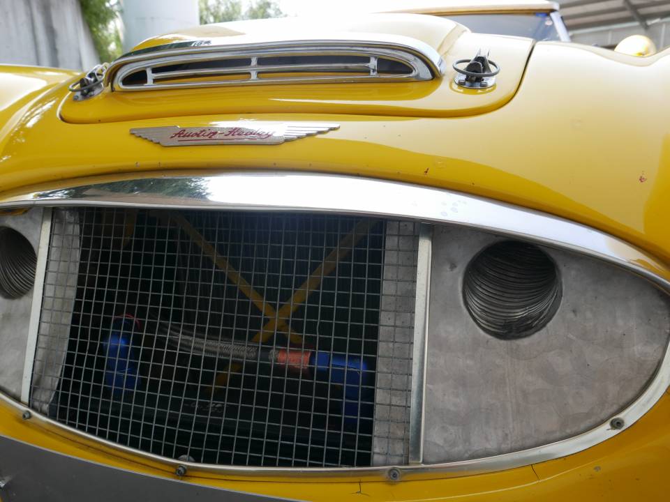 Immagine 7/52 di Austin-Healey 3000 Mk I (BN7) (1959)