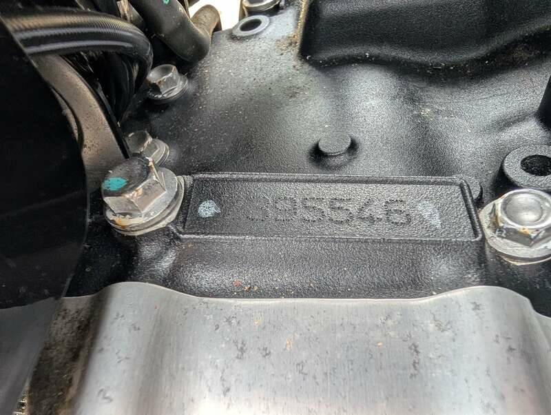 Bild 11/24 von Triumph DUMMY (2009)