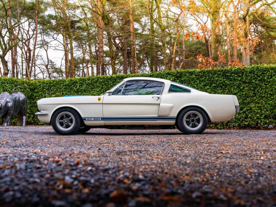 Image 6/27 of Ford Shelby GT 350 (1966)