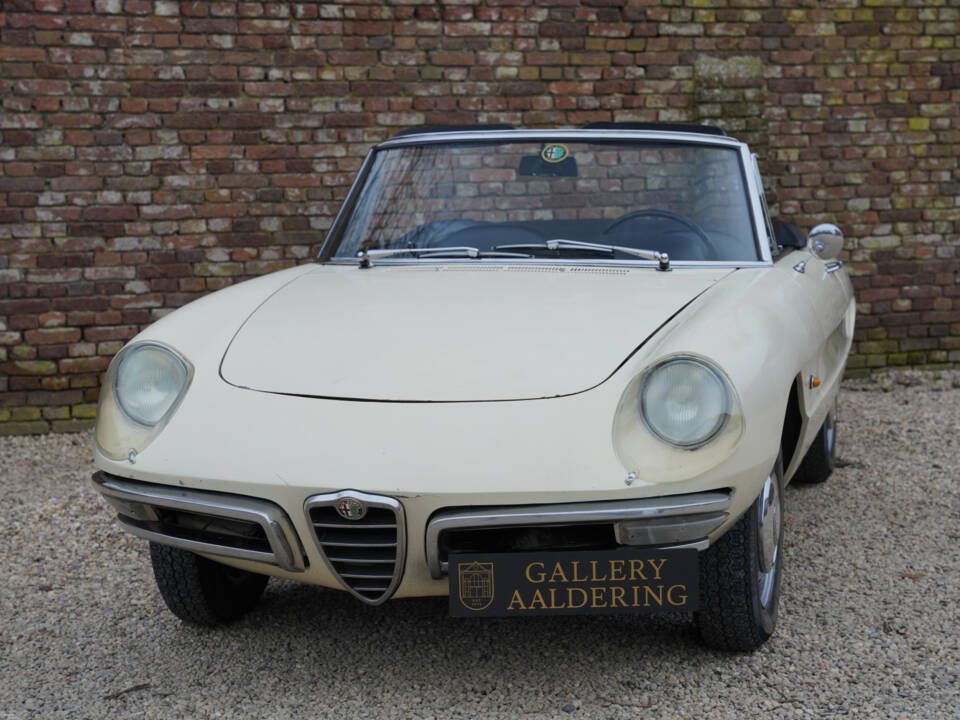 Bild 23/50 von Alfa Romeo 1600 Spider Duetto (1967)