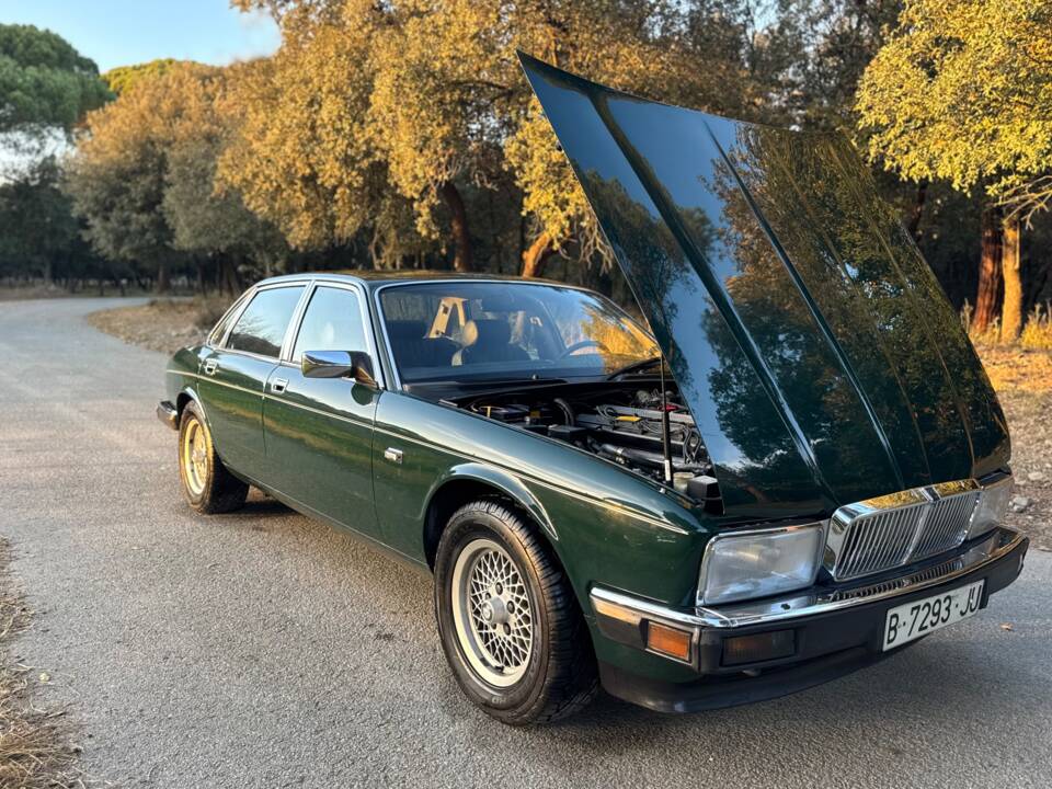 Image 11/40 of Jaguar Sovereign 3.6 (1989)
