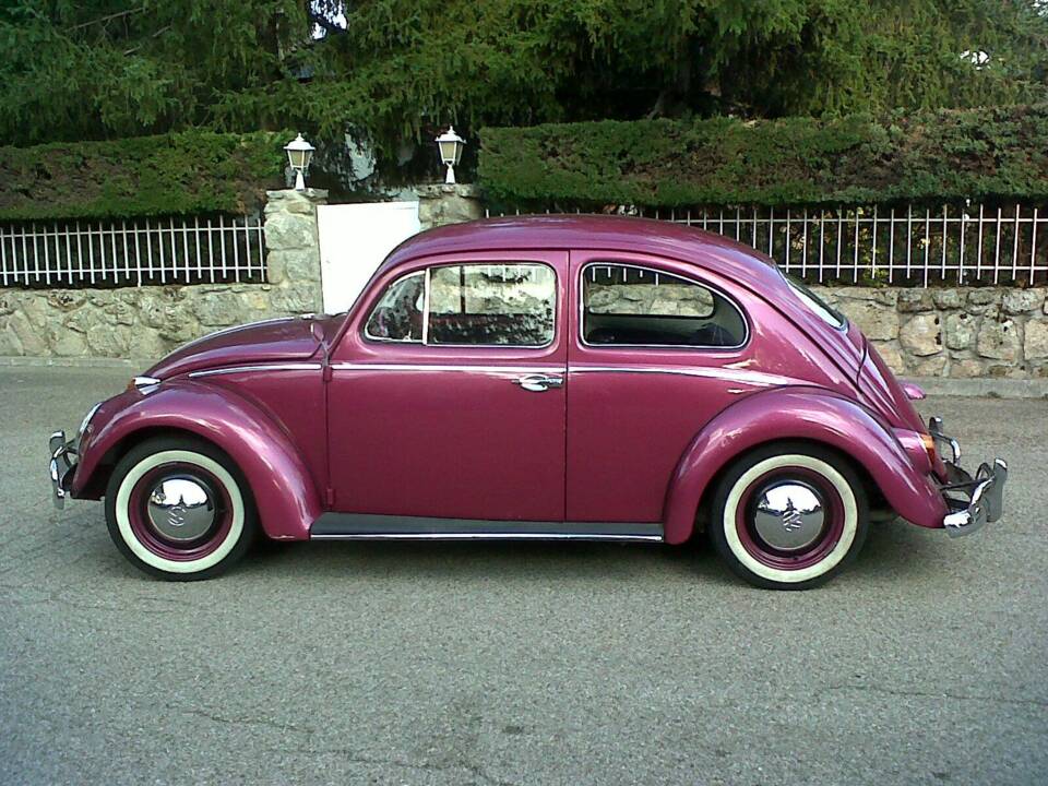 Imagen 11/15 de Volkswagen Käfer 1200 Standard &quot;Ovali&quot; (1956)