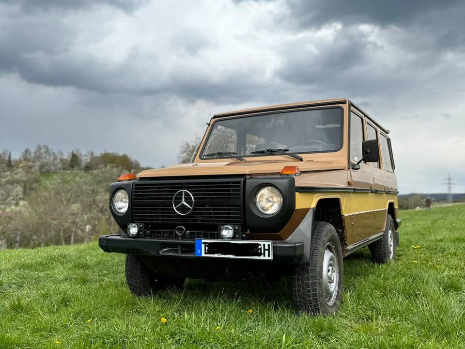 Bild 1/18 von Steyr-Puch 300 GD (lang) (1982)