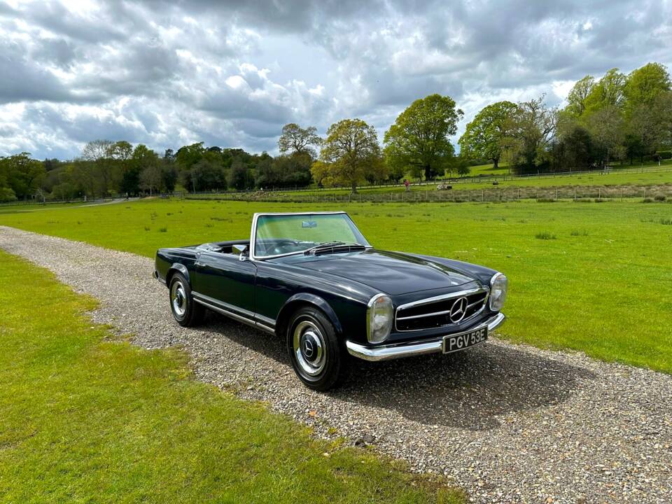 Image 3/50 de Mercedes-Benz 230 SL (1967)