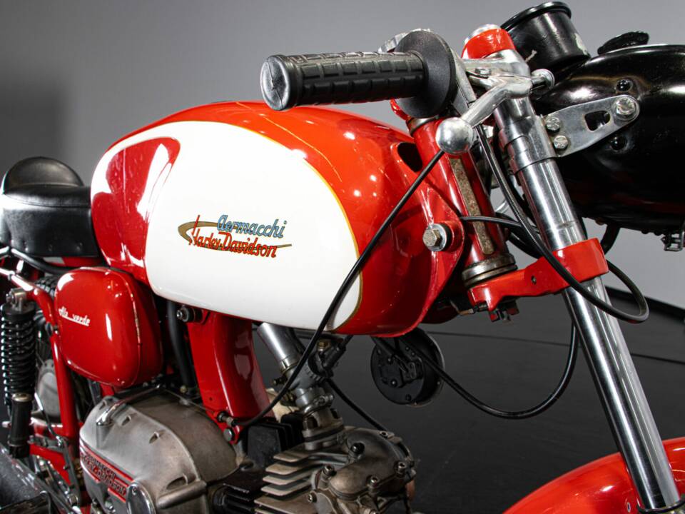 Immagine 45/50 di Aermacchi Ala Verde (1964)