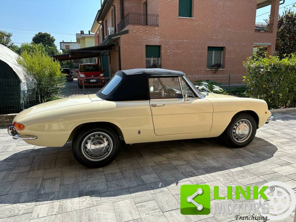 Immagine 4/10 di Alfa Romeo 1300 Spider Junior (1968)