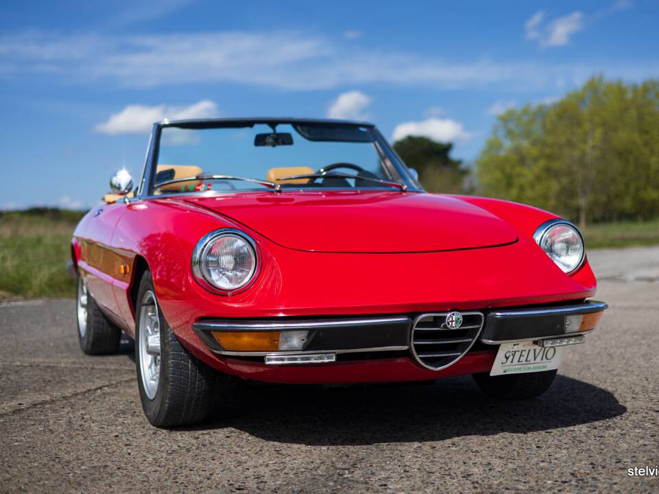 Afbeelding 5/42 van Alfa Romeo 2000 Spider Veloce (1980)