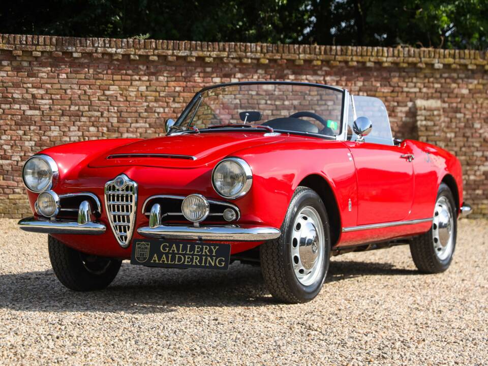 Bild 1/50 von Alfa Romeo Giulia 1600 Spider Veloce (1965)