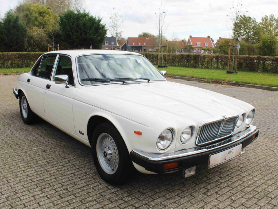 Bild 15/68 von Jaguar XJ 6 4.2 (1985)