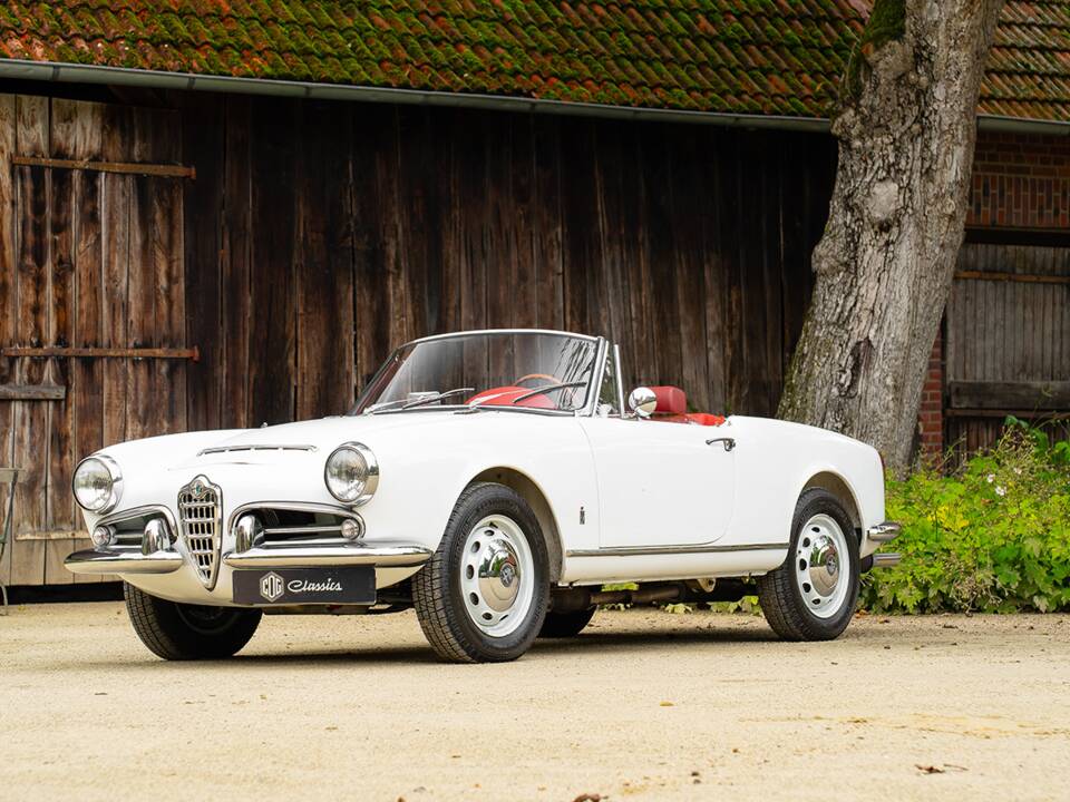 Bild 2/43 von Alfa Romeo Giulia 1600 Spider (1964)