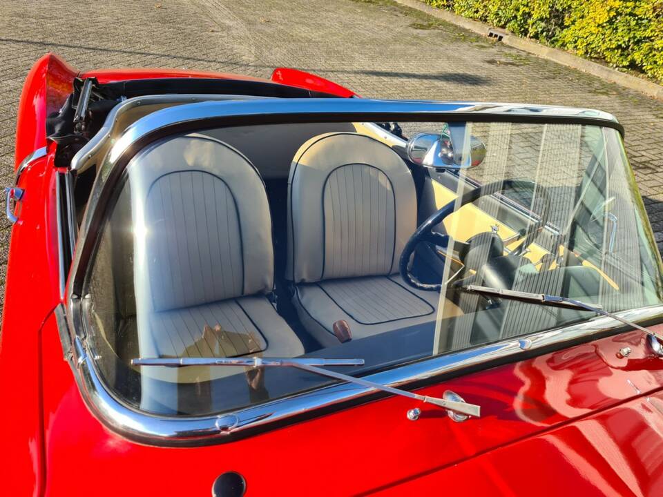 Bild 31/52 von FIAT 1200 Cabriolet (1959)