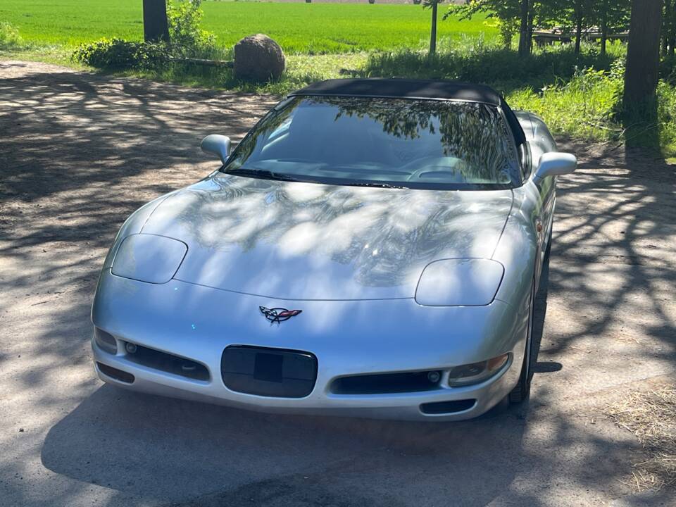 Image 32/50 of Chevrolet Corvette (2001)