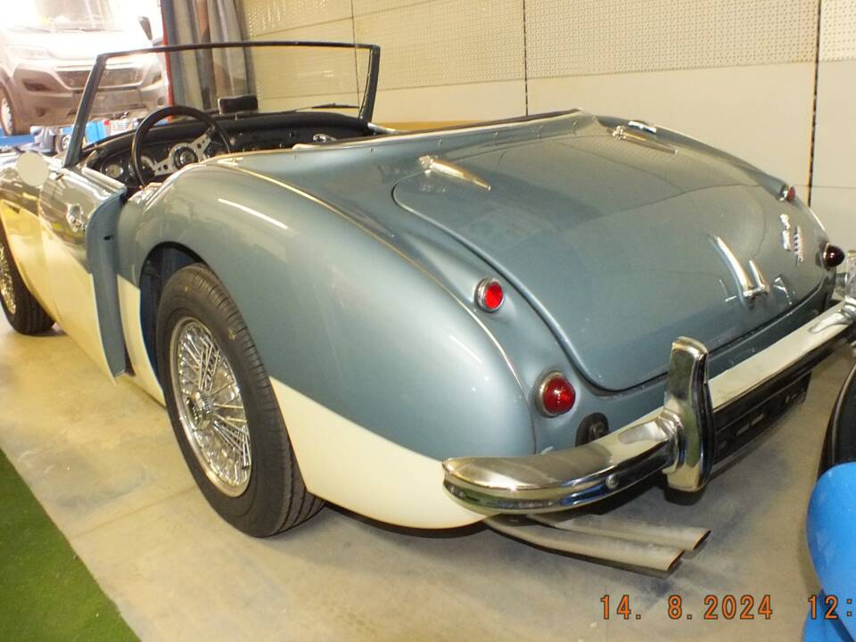 Bild 7/12 von Austin-Healey 3000 Mk I (BN7) (1961)