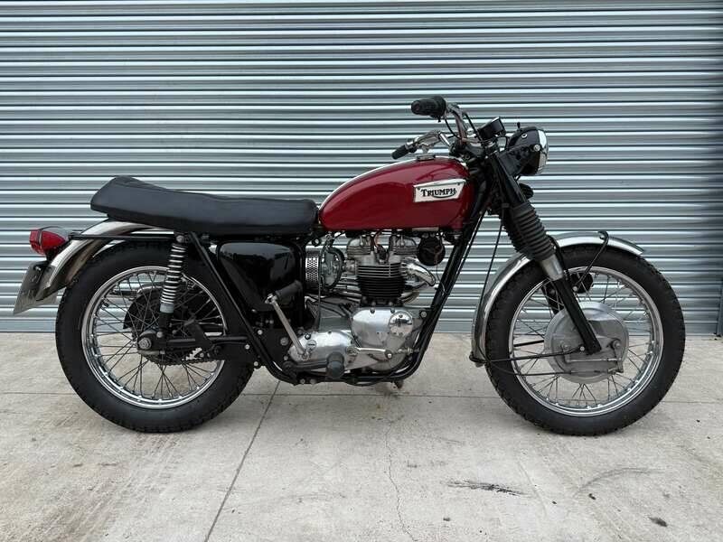 Immagine 1/41 di Triumph TR 6 C Trophy (1969)