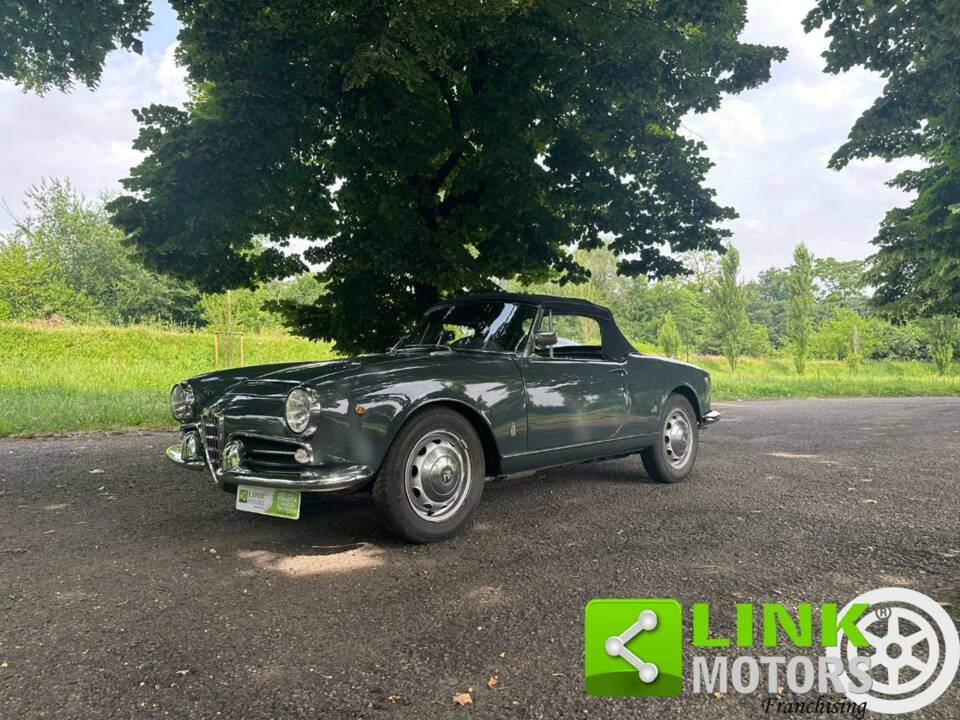 Immagine 3/10 di Alfa Romeo Giulia 1600 Spider (1962)
