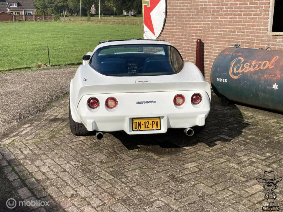 Afbeelding 20/50 van Chevrolet Corvette Sting Ray (1979)