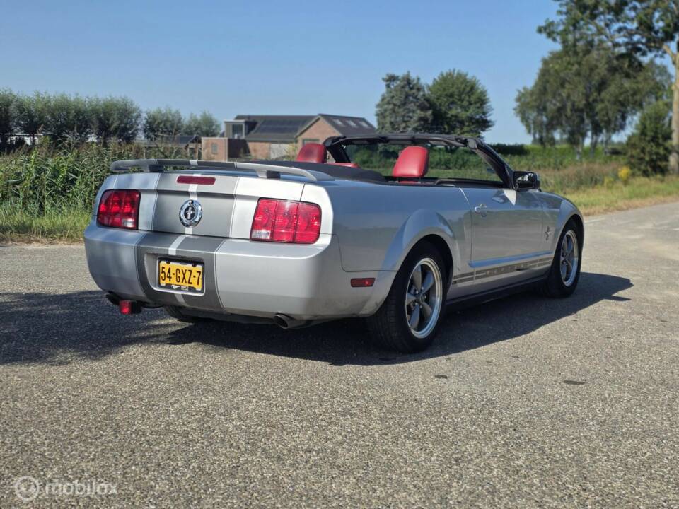 Bild 6/38 von Ford Mustang V6 (2006)