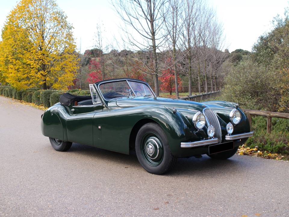 Bild 2/9 von Jaguar XK 120 DHC (1953)