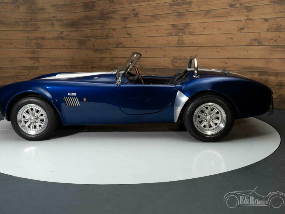 Image 14/19 de AC Cobra (1990)