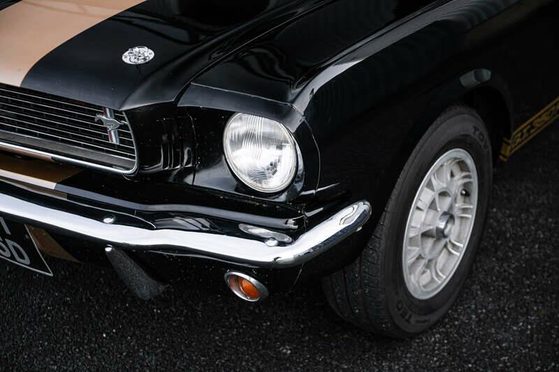 Image 34/38 of Ford Shelby GT 350H (1966)