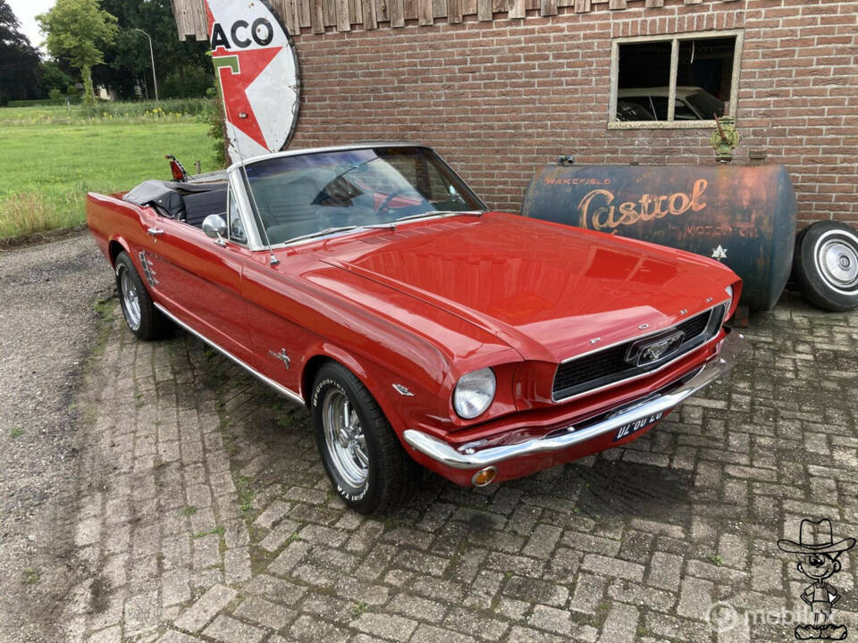 Bild 1/50 von Ford Mustang 289 (1966)