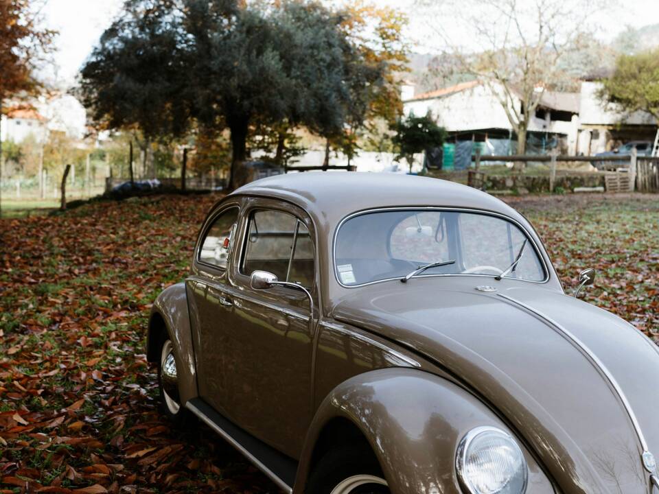 Immagine 2/56 di Volkswagen Maggiolino 1100 Standard "Ovali" (1954)