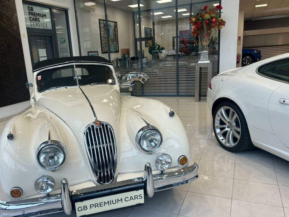 Immagine 1/74 di Jaguar XK 140 SE DHC (1955)