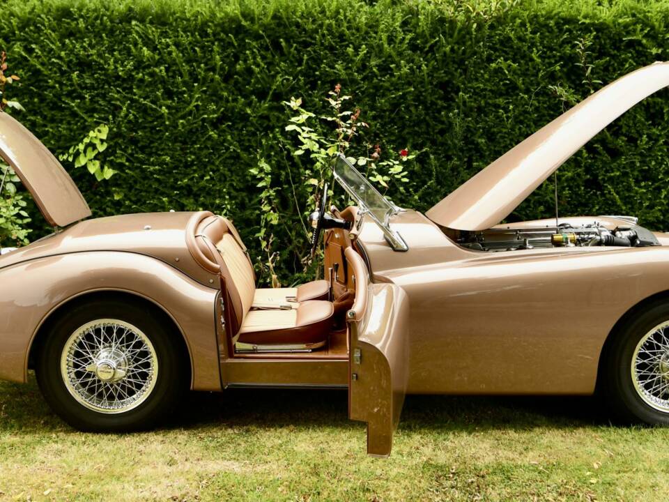 Image 19/50 of Jaguar XK 120 OTS (1950)