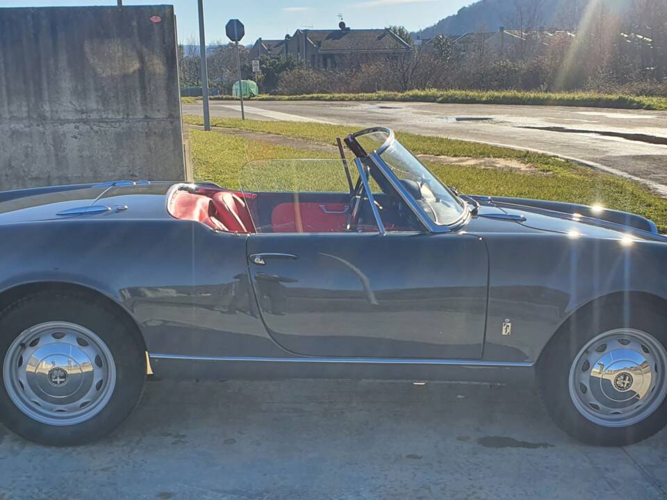 Bild 16/50 von Alfa Romeo Giulietta Spider (1959)