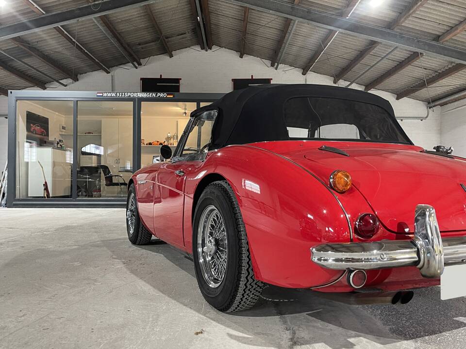 Imagen 5/33 de Austin-Healey 3000 Mk III (BJ8) (1967)