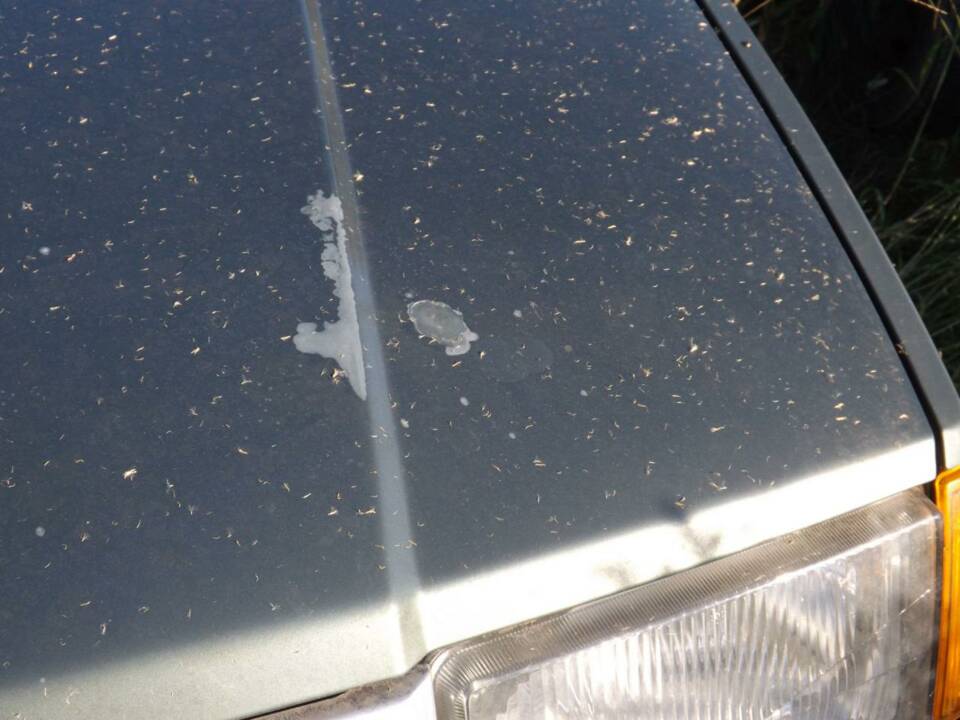 Immagine 33/50 di Volvo 360 GLE (1986)