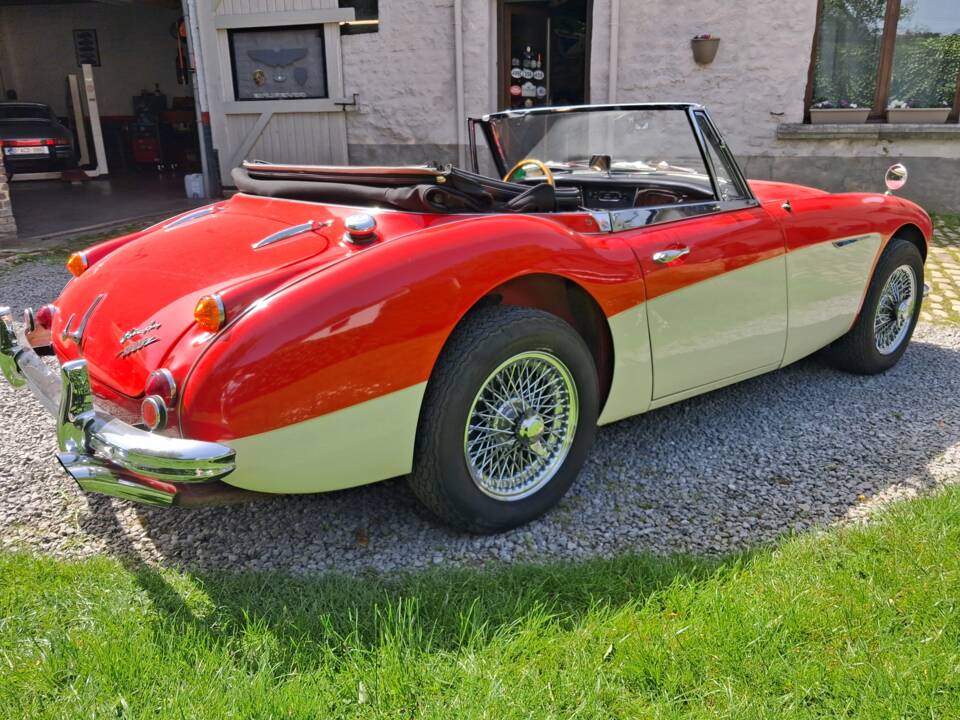 Afbeelding 5/28 van Austin-Healey 3000 Mk III (BJ8) (1966)