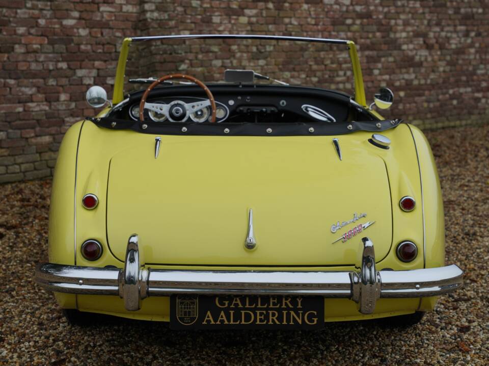 Bild 6/50 von Austin-Healey 3000 Mk I (BN7) (1960)