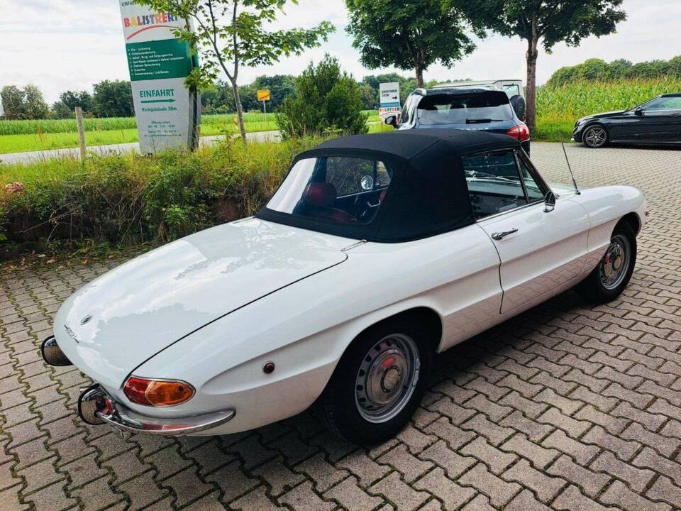 Bild 6/20 von Alfa Romeo 1750 Spider (1969)