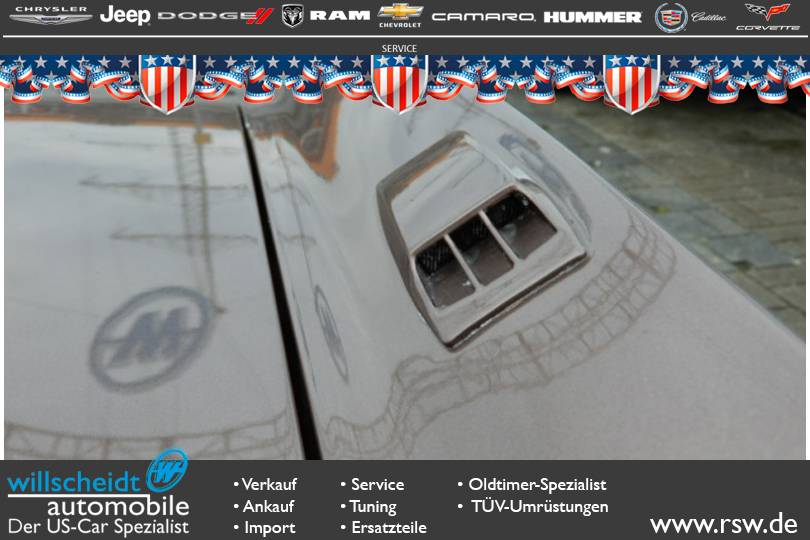 Image 22/46 of Cadillac Fleetwood Eldorado Coupe (1975)