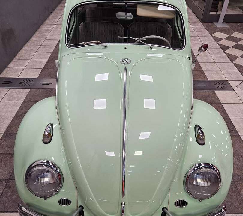 Image 6/19 de Volkswagen Coccinelle 1200 A (1964)