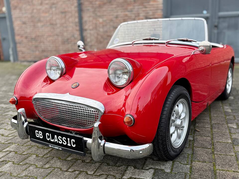 Image 6/40 of Austin-Healey Sprite Mk I (1958)
