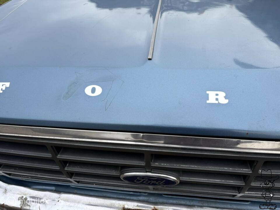 Image 25/42 of Ford F-150 XL (1982)