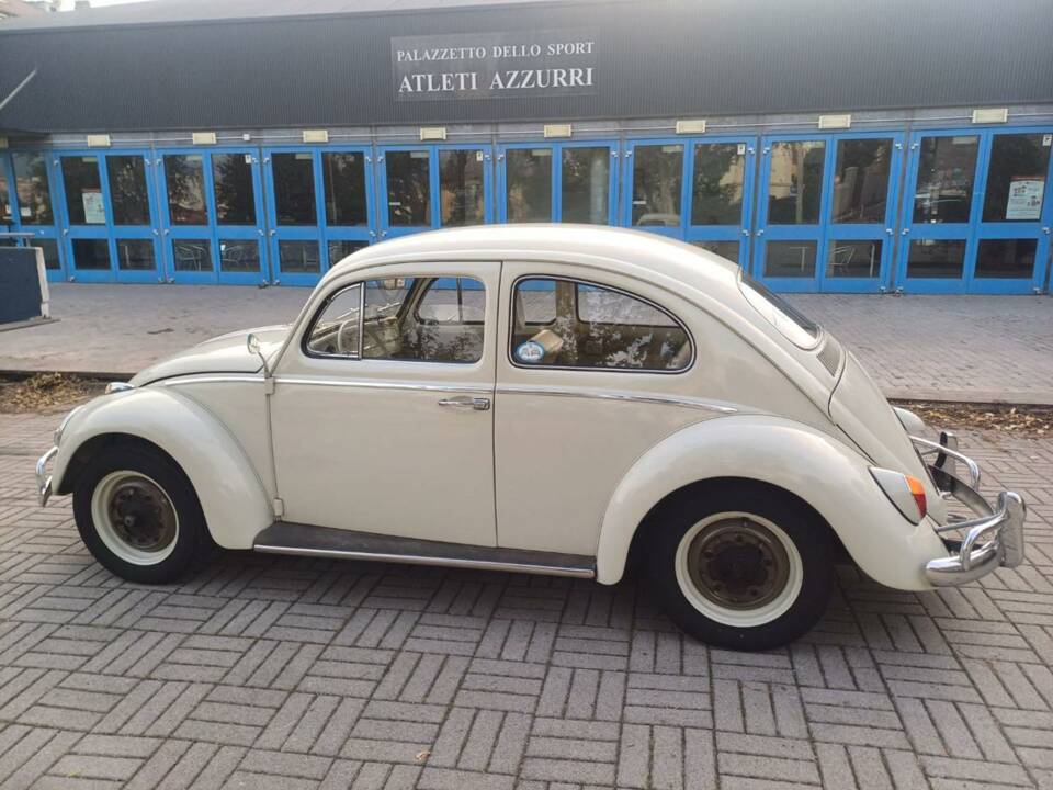 Bild 5/36 von Volkswagen Käfer 1200 Standard "Dickholmer" (1963)